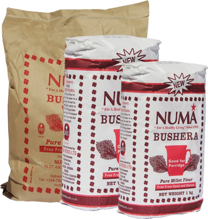 Numa Bushera